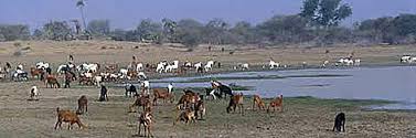 CEDING LAKE CHAD BASIN